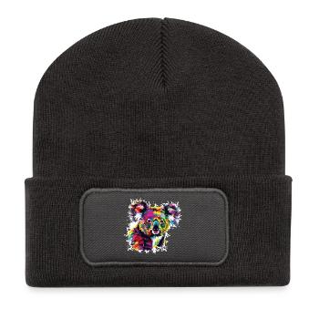 Creative Koala Color Explosion - Recycled Patch Beanie - dark grey - Front