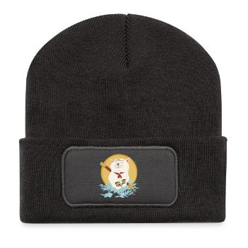 Cat warriors - Recycled Patch Beanie - dark grey - Front
