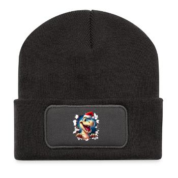 Dino Weihnachtsdurchbruch - Recycelte Patch Beanie - Dunkelgrau - Vorne