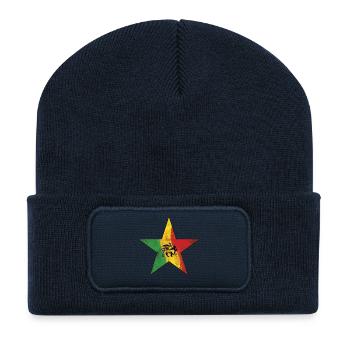 Lion Reggae avec peinture Rasta - Beanie recyclé à patch - bleu marine - Devant
