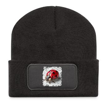 Ladybug blackRed - Recycled Patch Beanie - dark grey - Front