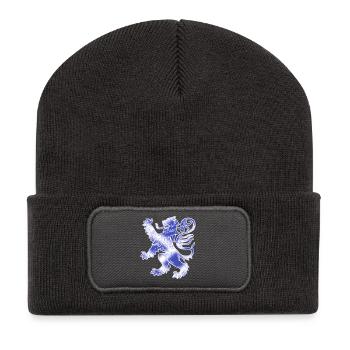 Scottish Lion Rampant and Saltire Flag - Recycled Patch Beanie - dark grey - Front