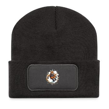 Fuchs Snowboard - Recycelte Patch Beanie - Dunkelgrau - Vorne