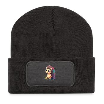 Hérisson à épines arc-en-ciel - Beanie recyclé à patch - charbon - Devant