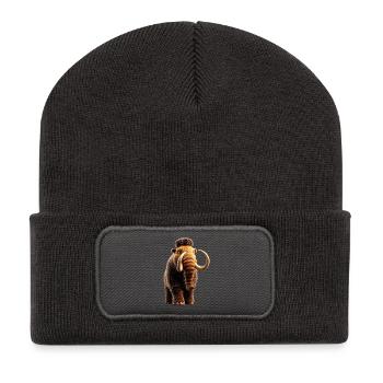 Mammouth Mammouth Laineux Âge glaciaire Mammouths Mammouth Doux - Beanie recyclé à patch - charbon - Devant