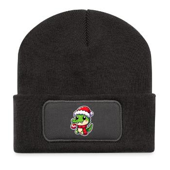 Jolly Crocodile Claus - Recycelte Patch Beanie - Dunkelgrau - Vorne