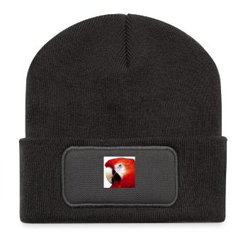 parrot - Recycled Patch Beanie - dark grey - Front
