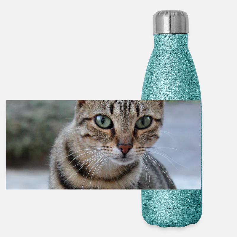 Cat Kitten Poster Square Cat Poster Panoramic Glitter Thermal Bottle 500 ml