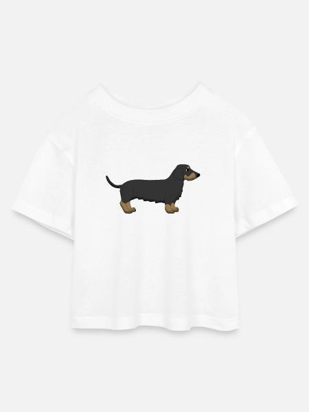 Rauhhaardackel - Kinder Cropped Jersey T-Shirt - Weiß