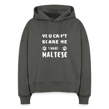 Tu ne peux pas me faire peur J’ai un bichon maltais – Drôle de chien - Sweat à capuche bio Nora coupe boxy Stanley/Stella Femme - charbon - Devant