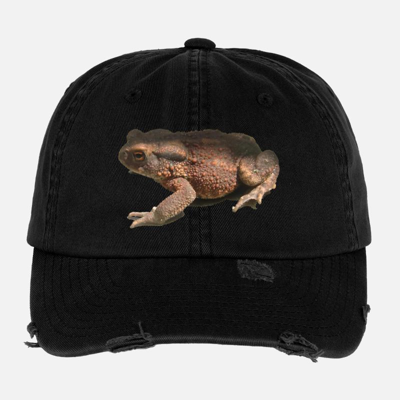 toad Flexfit Vintage Destroyed Cap