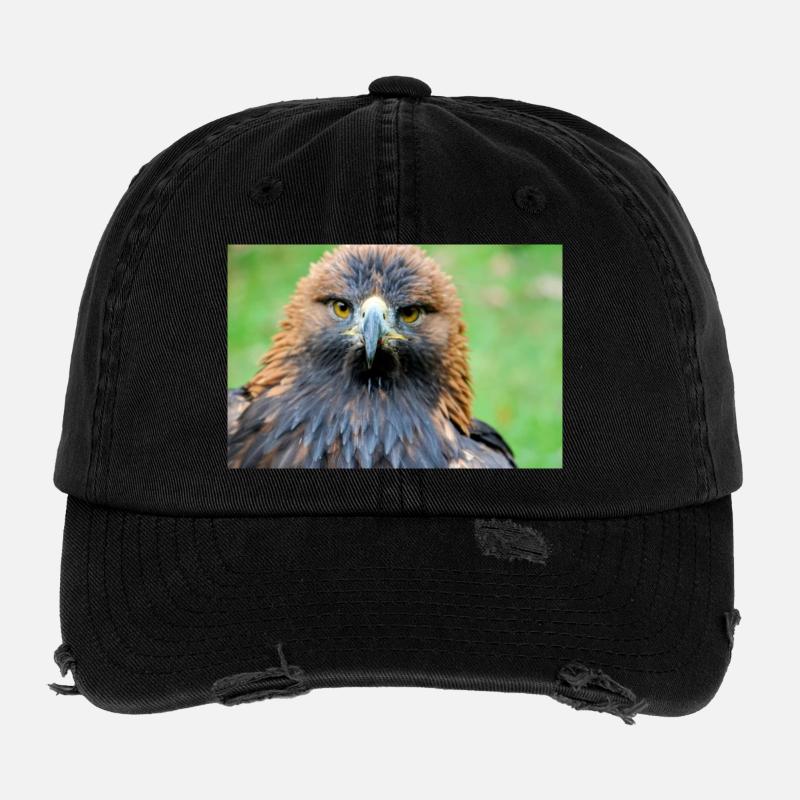 Eagle view in the morning light Flexfit Vintage Destroyed Cap