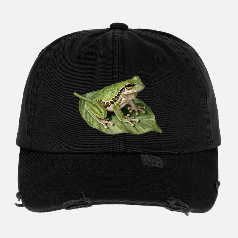 Grenouille verte sur feuille Casquette vintage effet usé Flexfit