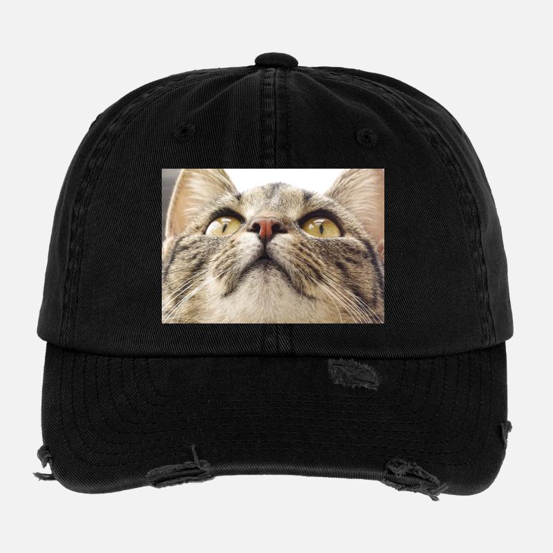 Visage de chat Minka - Casquette vintage effet usé Flexfit - noir