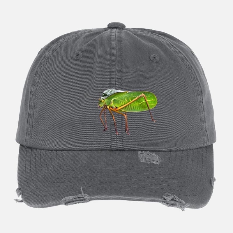 my Giant Hooded Katydid. nature pic, no graphics Flexfit Vintage Destroyed Cap