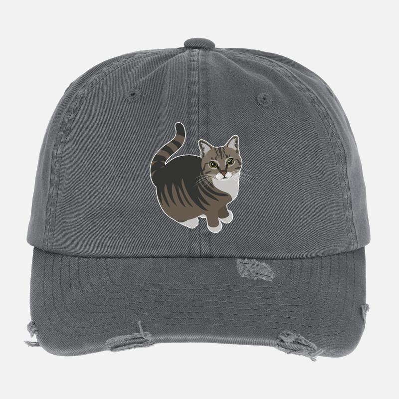 Chat tigré aux pattes blanches Casquette vintage effet usé Flexfit