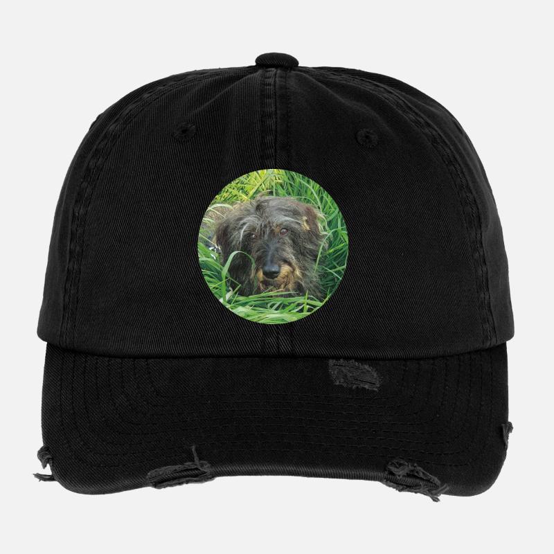 Teckel mignon à poil dur - teckel à poil dur teckel Casquette vintage effet usé Flexfit