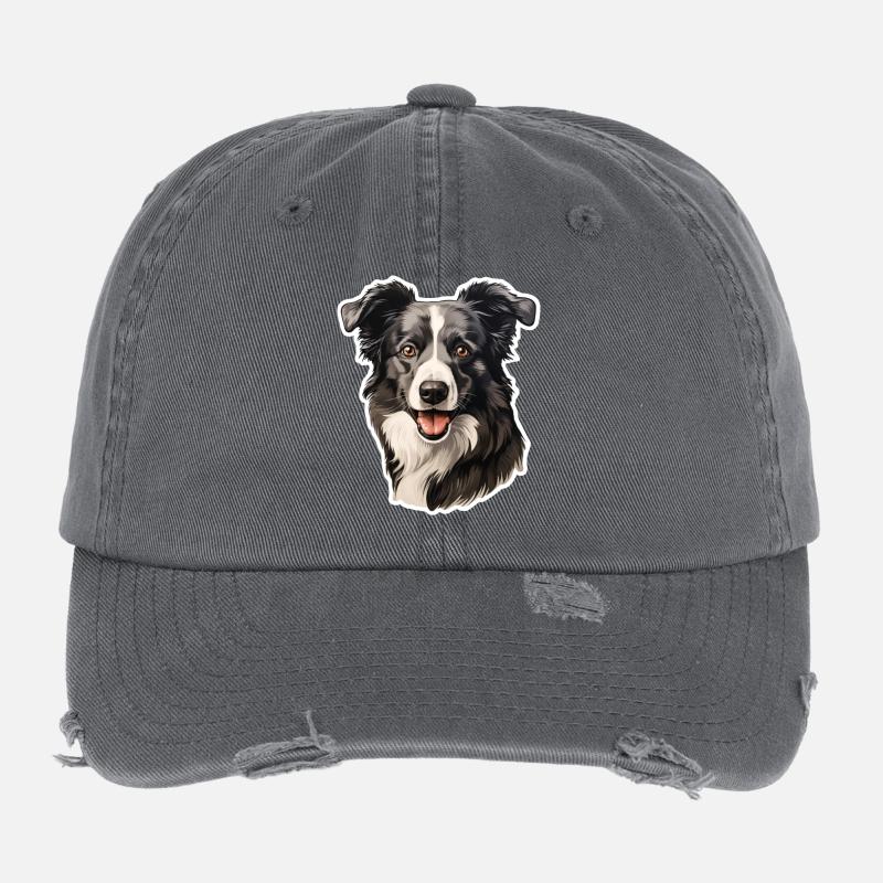 Border Collie Casquette vintage effet usé Flexfit