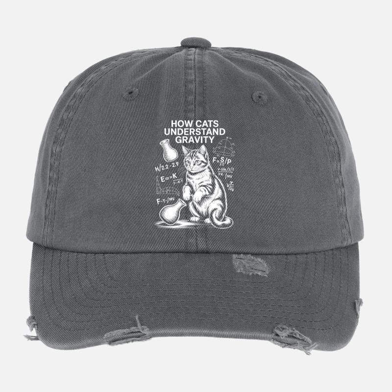 Physics Cats Sayings Math Joke Physics Gift Flexfit Vintage Destroyed Cap