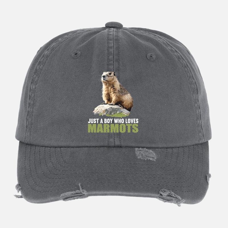 Marmots Groundhog Flexfit Vintage Destroyed Cap
