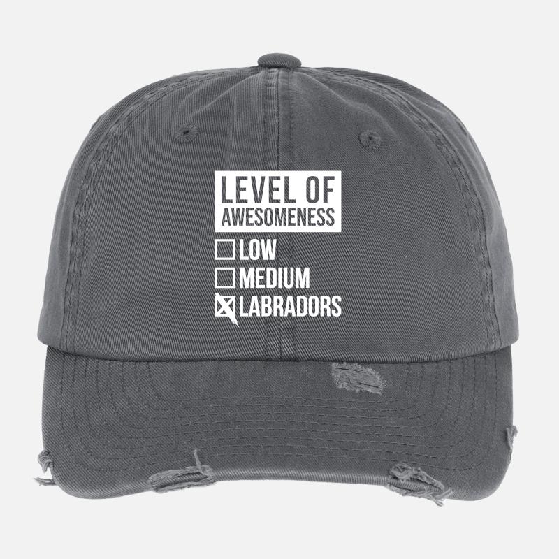 Labrador Casquette vintage effet usé Flexfit