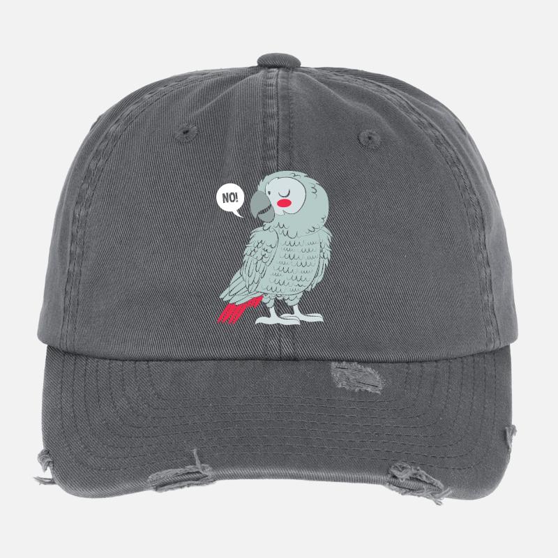 Perroquet gris Perroquet gris Casquette vintage effet usé Flexfit