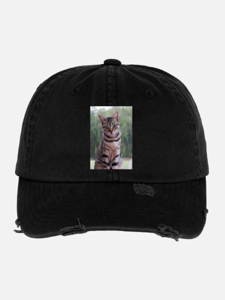 Cat Kitten - Flexfit Vintage Destroyed Cap - black - Front