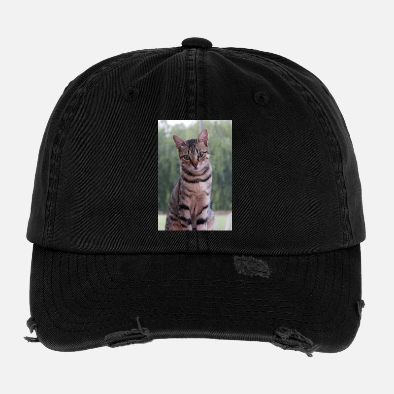 Cat Kitten - Flexfit Vintage Destroyed Cap - black