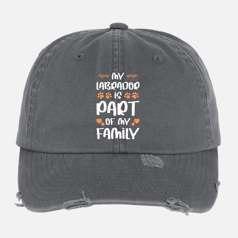 LABRADOR Flexfit Vintage Destroyed Cap