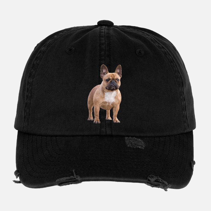 Bouledogue français Casquette vintage effet usé Flexfit