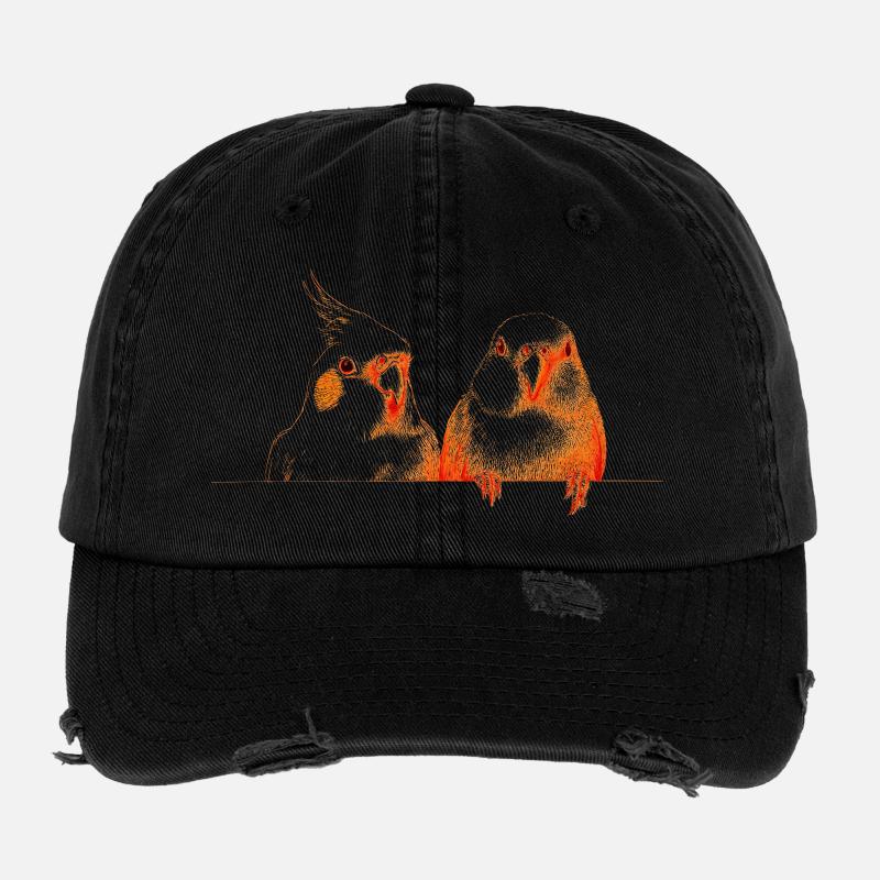 Birdies Flexfit Vintage Destroyed Cap