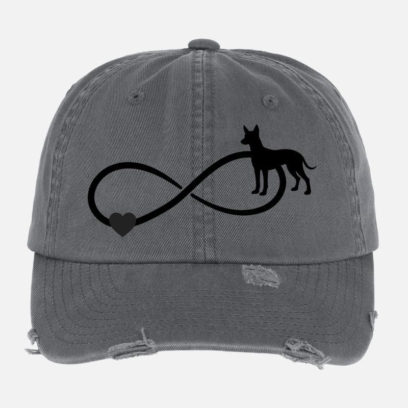 Xoloitzcuintle Infinity Casquette vintage effet usé Flexfit