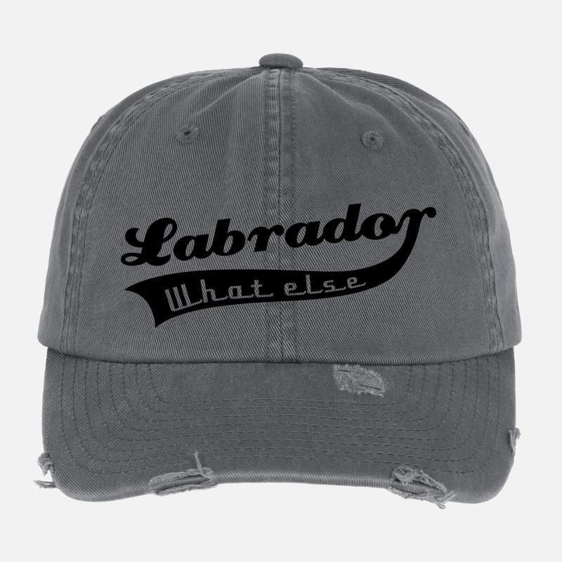Labrador Flexfit Vintage Destroyed Cap