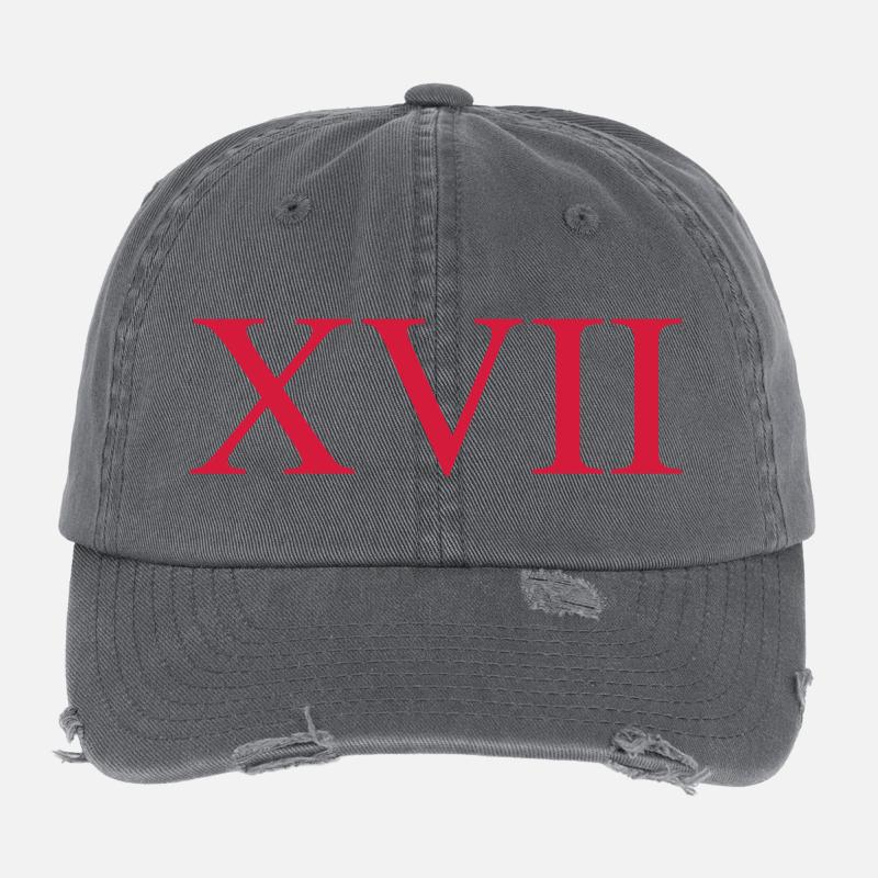 17 - Flexfit Vintage Destroyed Cap - Dunkelgrau