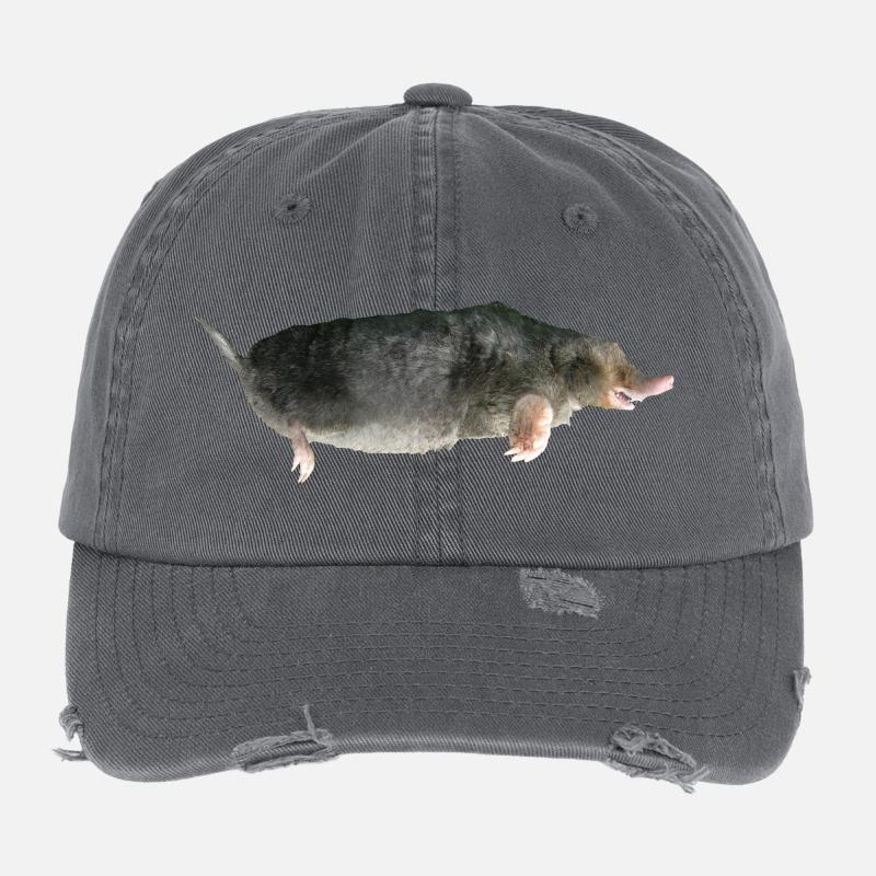 Maulwurf Flexfit Vintage Destroyed Cap