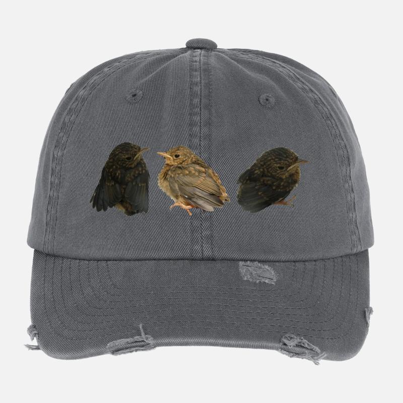 Rotkehlchen Ästlinge Flexfit Vintage Destroyed Cap