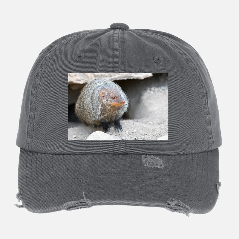 Gebänderte Manguste oder Zebramanguste Flexfit Vintage Destroyed Cap