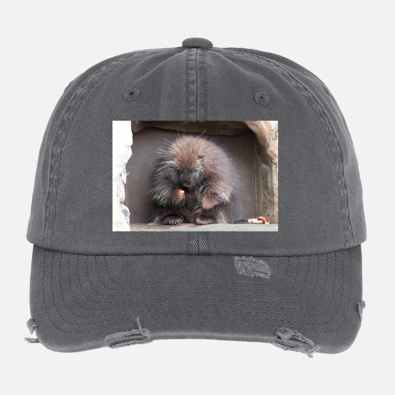 Tree-spined New World porcupines Erethizontidae Flexfit Vintage Destroyed Cap
