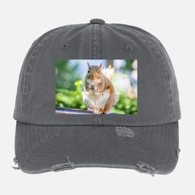 Essen Grauhörnchen Grauhörnchen Sciurus carolin Flexfit Vintage Destroyed Cap