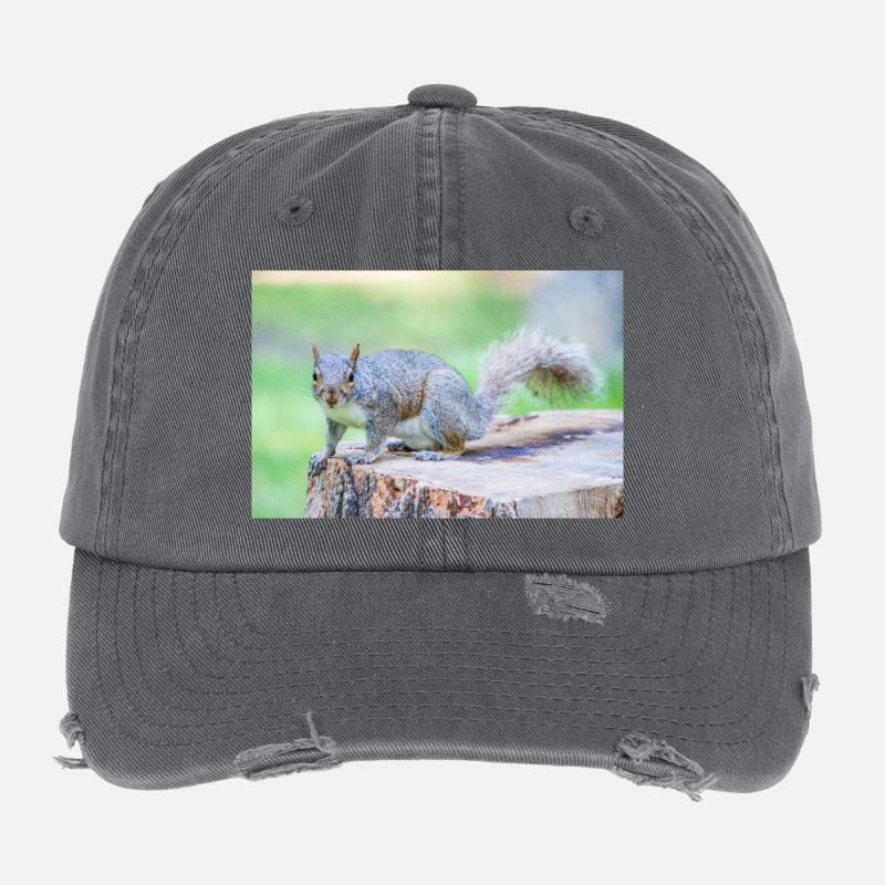 Grauhörnchen Sciurus carolinensis Flexfit Vintage Destroyed Cap