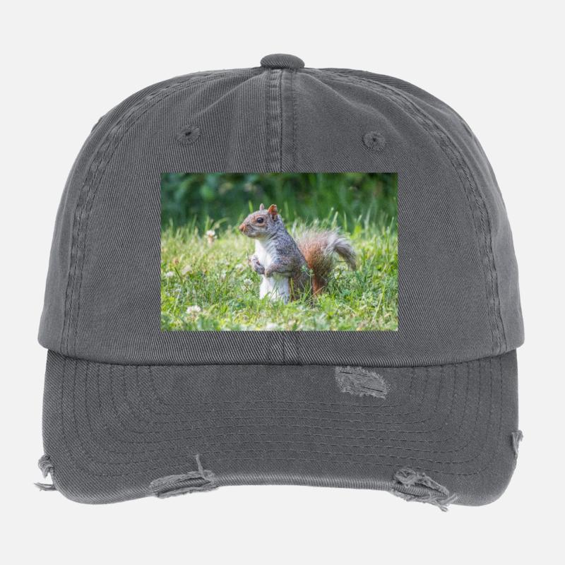 Écureuil gris debout (Sciurus carolinensis) gris Casquette vintage effet usé Flexfit