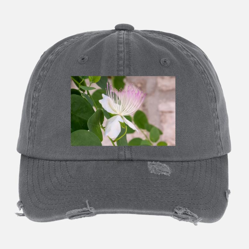 câpre aussi Flinders rose Capparis spinosa Casquette vintage effet usé Flexfit
