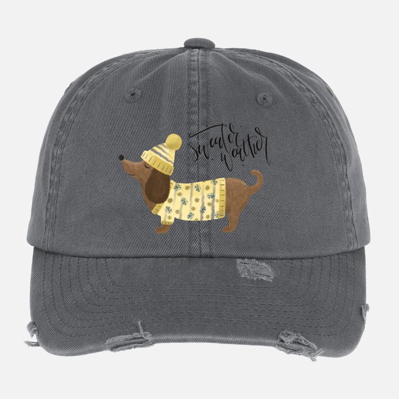 Teckel avec pull et chapeauSweater Météo jaune Casquette vintage effet usé Flexfit