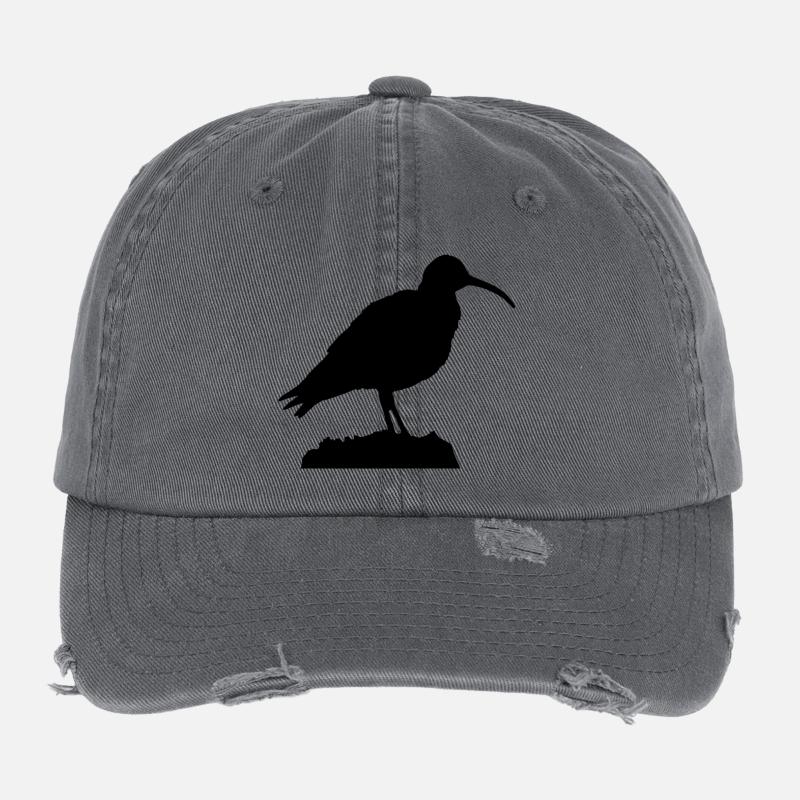 Courlis Casquette vintage effet usé Flexfit