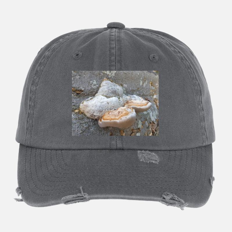agaric chirurgien aussi champignon amadou Zunderschwamm Casquette vintage effet usé Flexfit