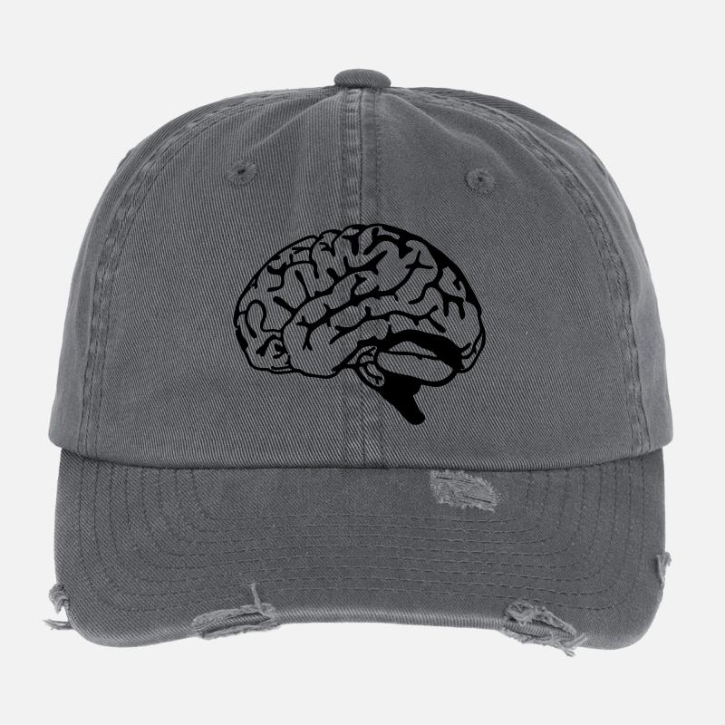 brain Flexfit Vintage Destroyed Cap