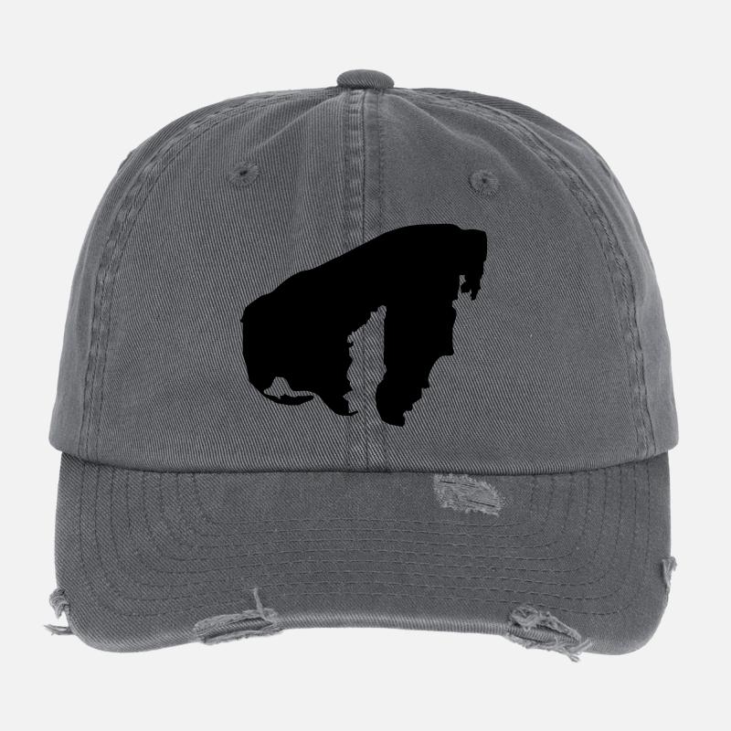 poel2 Flexfit Vintage Destroyed Cap