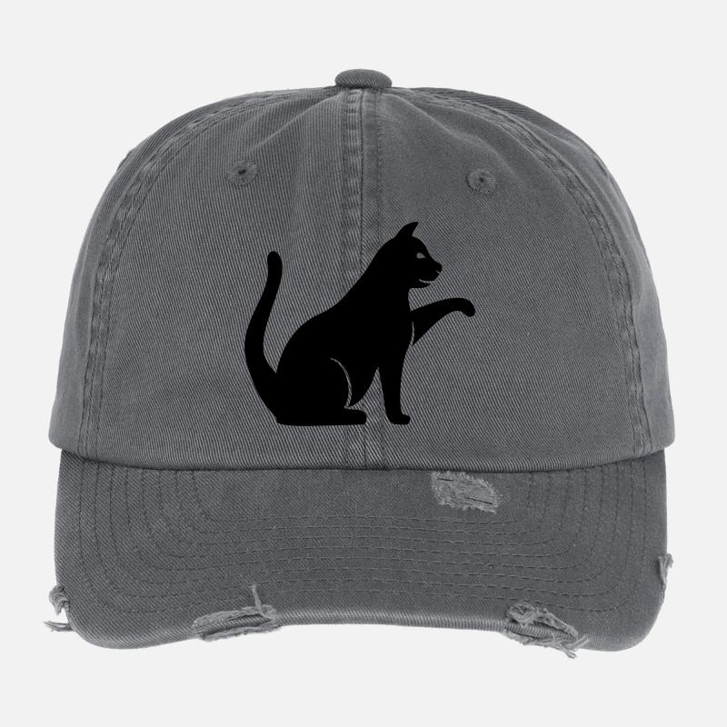 Chat Casquette vintage effet usé Flexfit