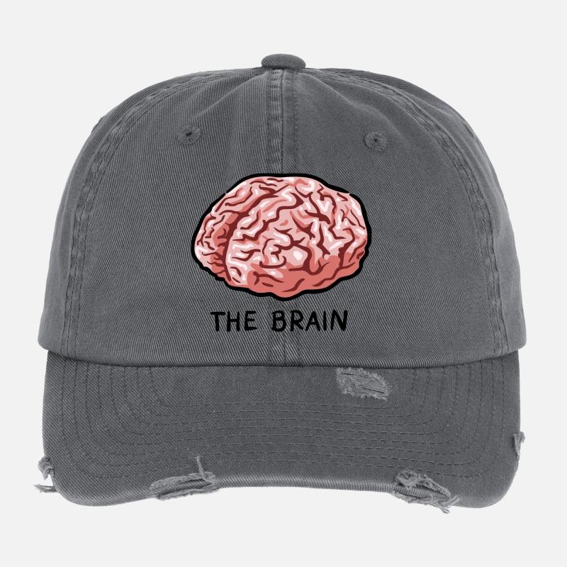 THE BRAIN Flexfit Vintage Destroyed Cap