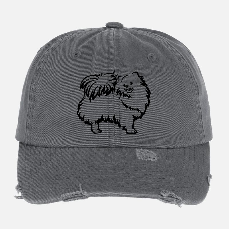 Dwarf spitz Flexfit Vintage Destroyed Cap